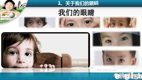 爱眼护眼知识讲座