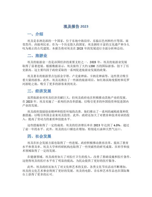 埃及报告2023