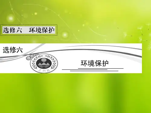 高考地理二轮复习 环境问题及环境污染课件 新人教版