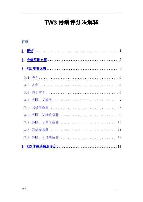 TW3骨龄评分法解释