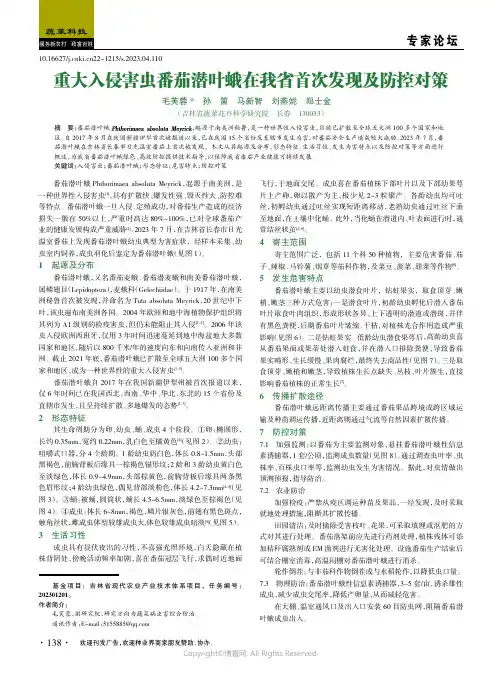 重大入侵害虫番茄潜叶蛾在我省首次发现及防控对策