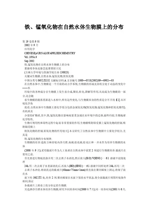 铁、锰氧化物在自然水体生物膜上的分布
