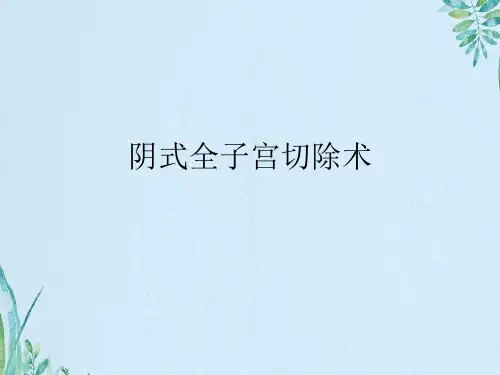阴式全子宫切除术