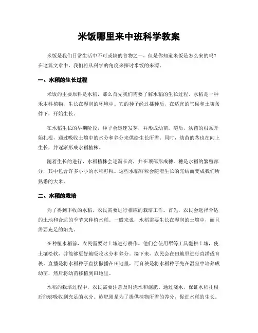 米饭哪里来中班科学教案