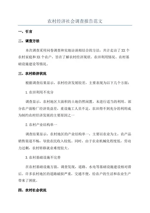 农村经济社会调查报告范文