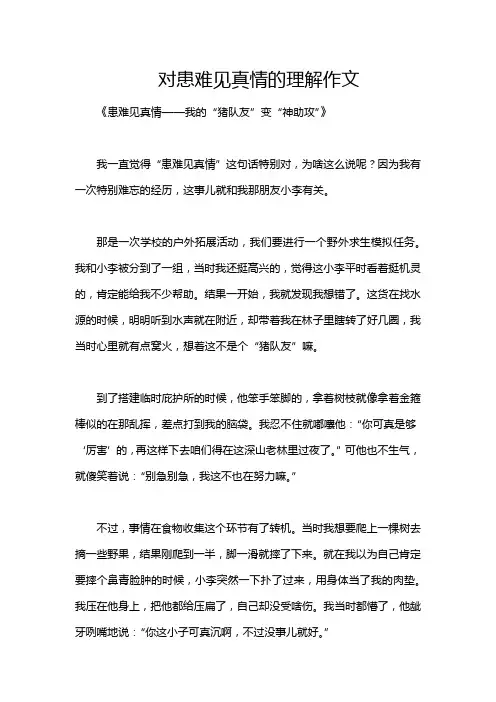 对患难见真情的理解作文