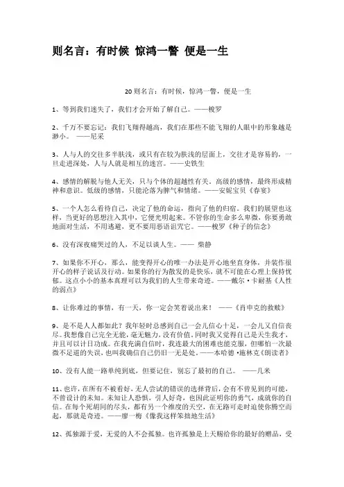 则名言有时候惊鸿一瞥便是一生