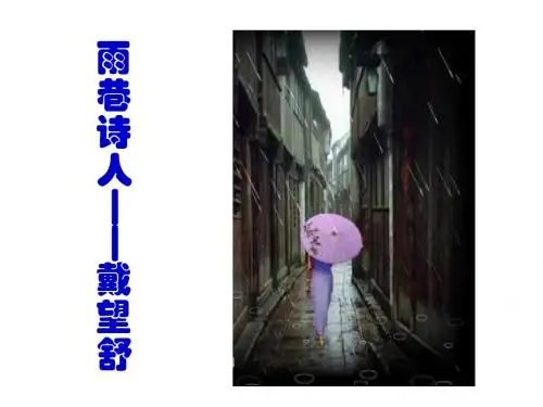 《寻梦者的心声》(我用残损的手掌)ppt课件