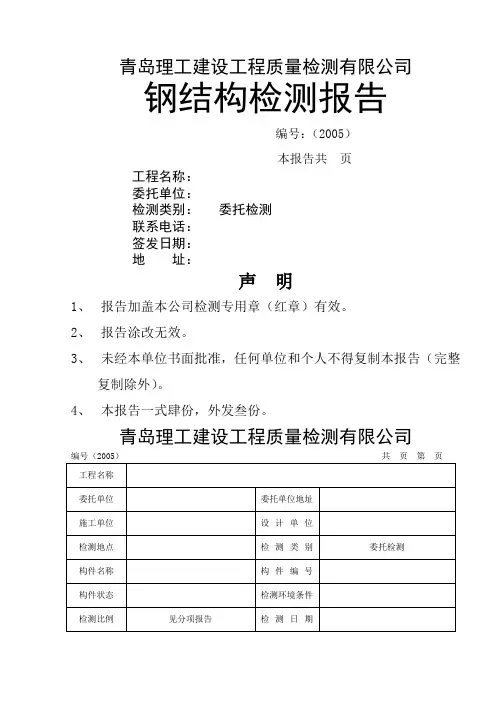 钢结构检测报告模板(含检测原始记录)