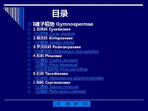 园林树木学_常见100种植物