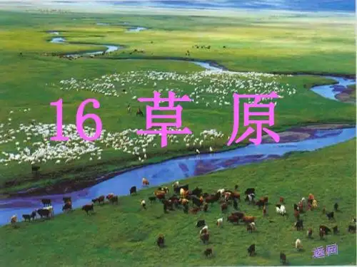 苏教版六年级上册《草原》PPT课件2