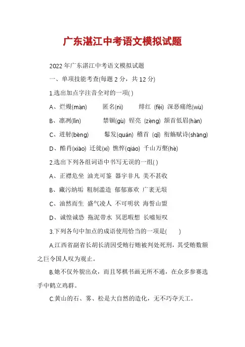 广东湛江中考语文模拟试题