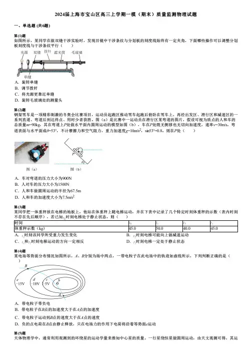 2024届上海市宝山区高三上学期一模(期末)质量监测物理试题