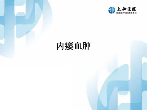 内瘘血肿ppt课件
