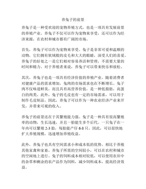 养兔子的前景