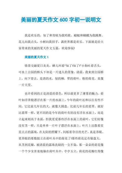 美丽的夏天作文600字初一说明文