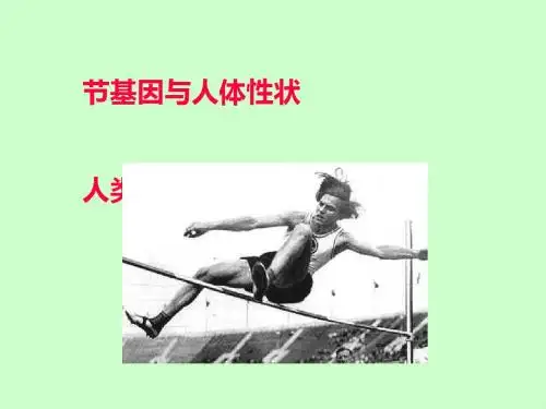 基因与人体性状,人类染色体与性别决定PPT课件