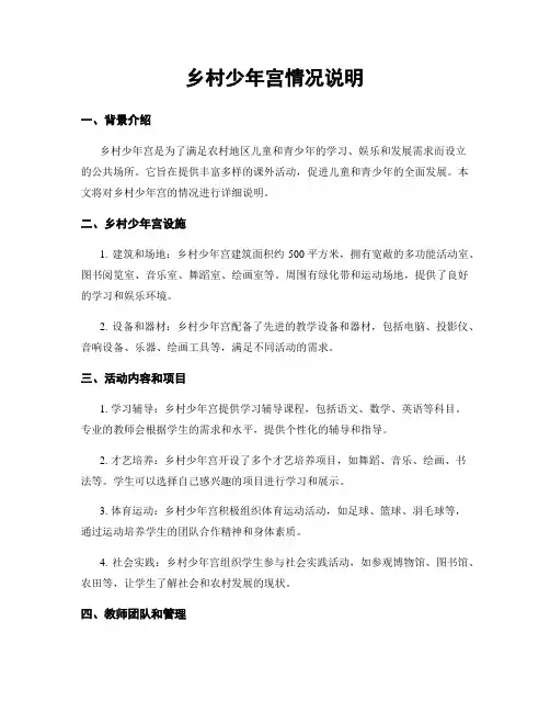 乡村少年宫情况说明