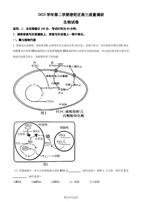 2024届上海市普陀区高三下学期二模生物试题