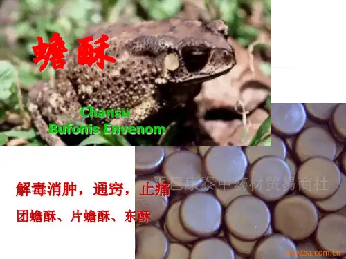 蟾酥