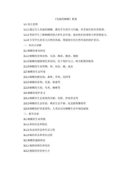 《美丽的蝴蝶》教案