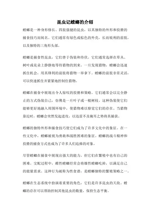 昆虫记螳螂的介绍