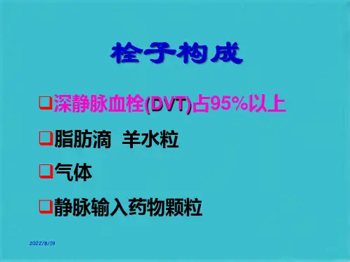 深静脉血栓的预防护理(共32张PPT)
