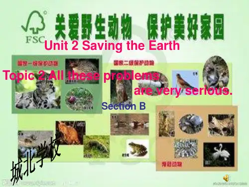 仁爱英语九年级上册Unit 2 Topic 2 Section B