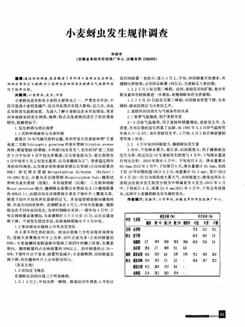 小麦蚜虫发生规律调查