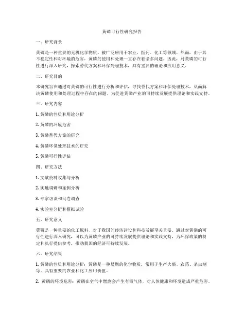 黄磷可行性研究报告