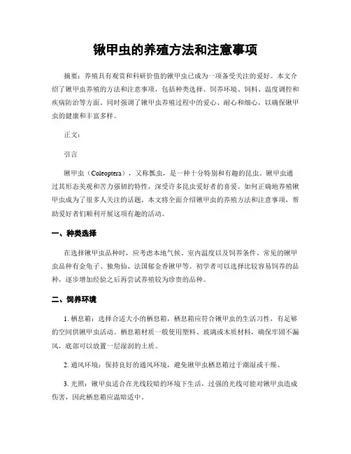 锹甲虫的养殖方法和注意事项