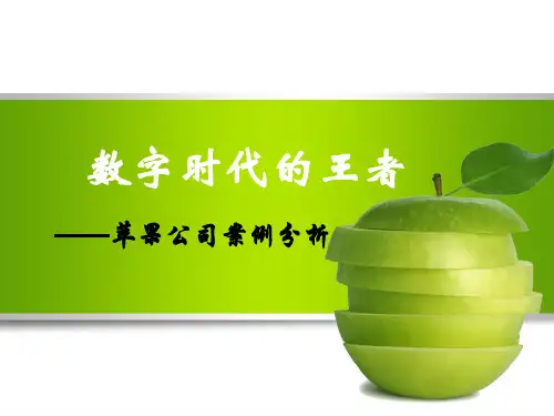 苹果公司案例分析