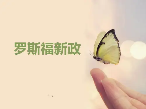 《罗斯福新政》开辟新的发展道路PPT