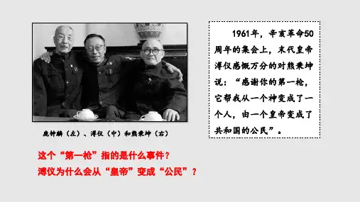 辛亥革命ppt课件