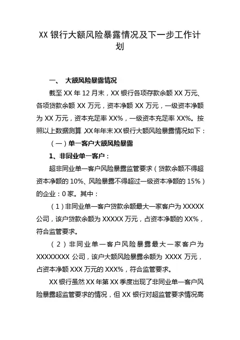 XX银行大额风险暴露情况及下一步工作计划