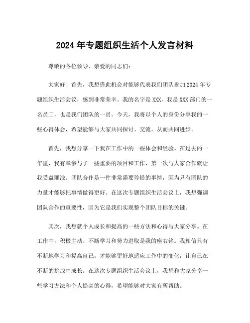 2024年专题组织生活个人发言材料