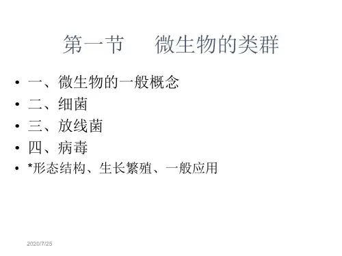 微生物与发酵工程课件