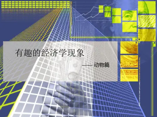 有趣的经济学现象