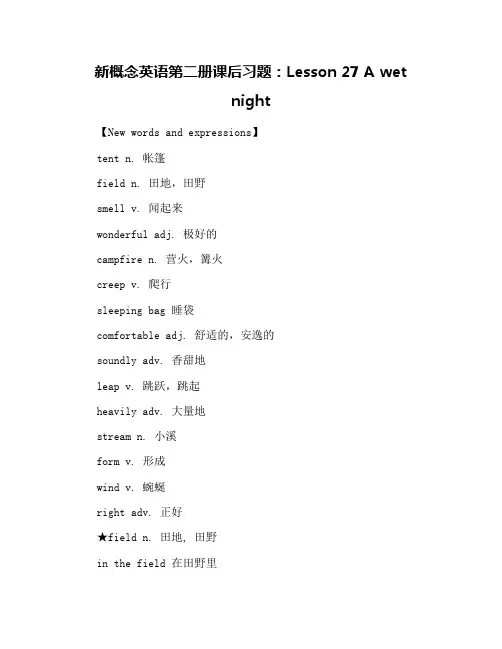 新概念英语第二册课后习题：Lesson 27 A wet night