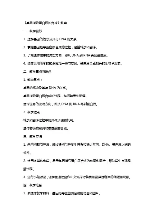 《基因指导蛋白质的合成》教案