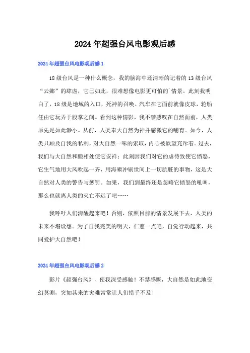 2024年超强台风电影观后感