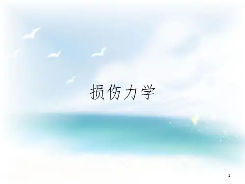 损伤力学_??????
