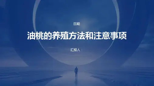 油桃的养殖方法和注意事项