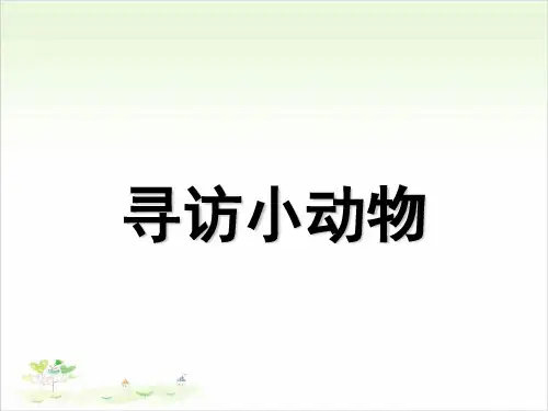 三年级上册科学-寻访小动物-教科版-PPT课堂课件