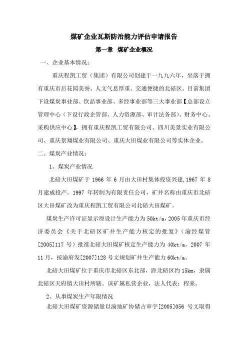 瓦斯治理能力评估报告