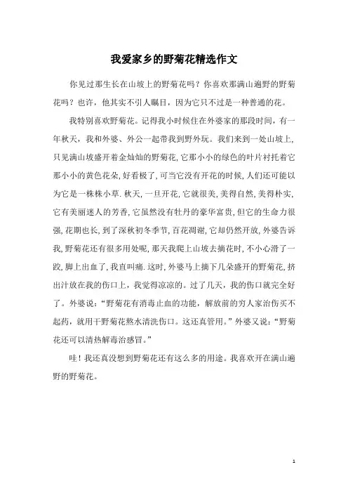 我爱家乡的野菊花精选作文