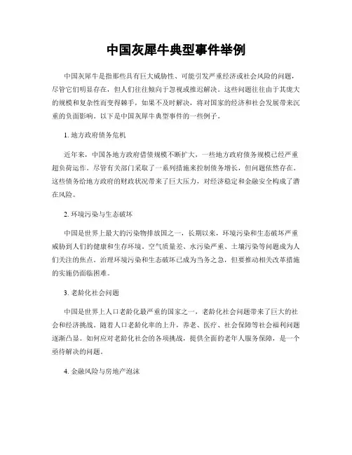中国灰犀牛典型事件举例