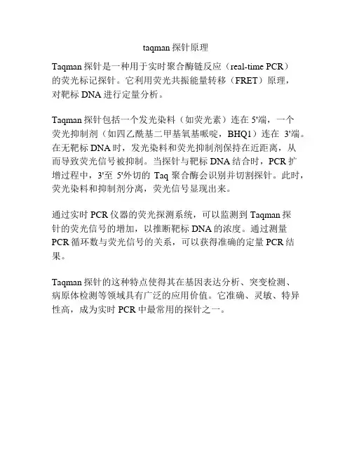 taqman探针原理