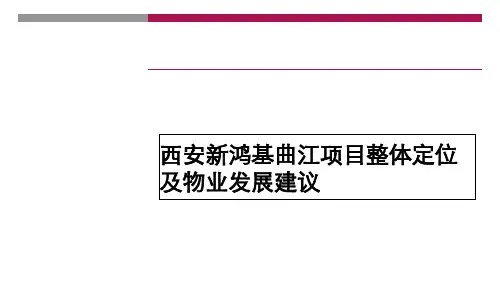 某地区项目管理及整体定位管理知识分析发展建议(PPT 136页)