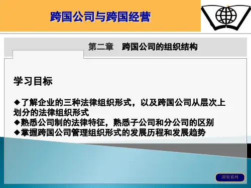 跨国公司的组织结构